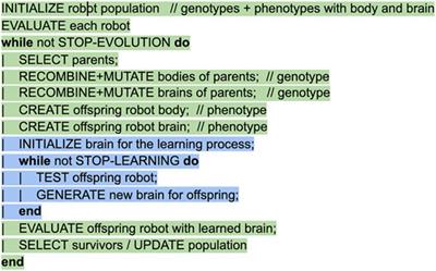 Real-World Robot Evolution: Why Would it (not) Work?